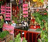 Beautiful House, Chinatown, NYC